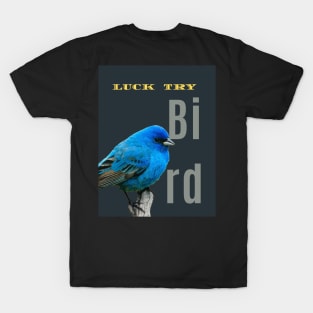 bulk T-Shirt